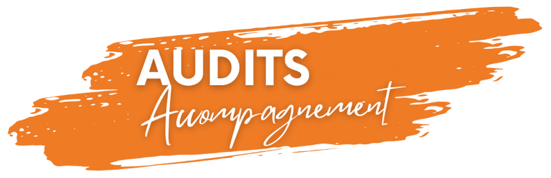 Audit accompagnement.